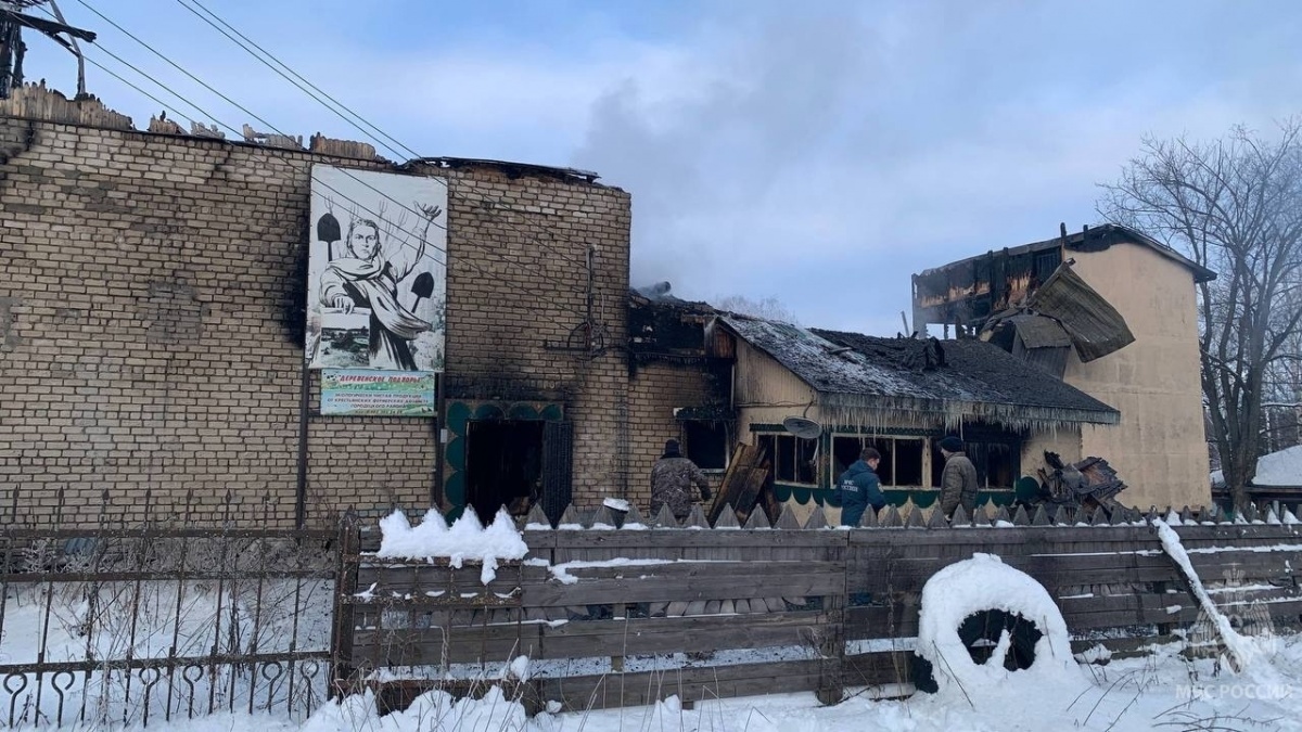 Число животных, погибших на пожаре в Нижегородской области, выросло до 150 - фото 1