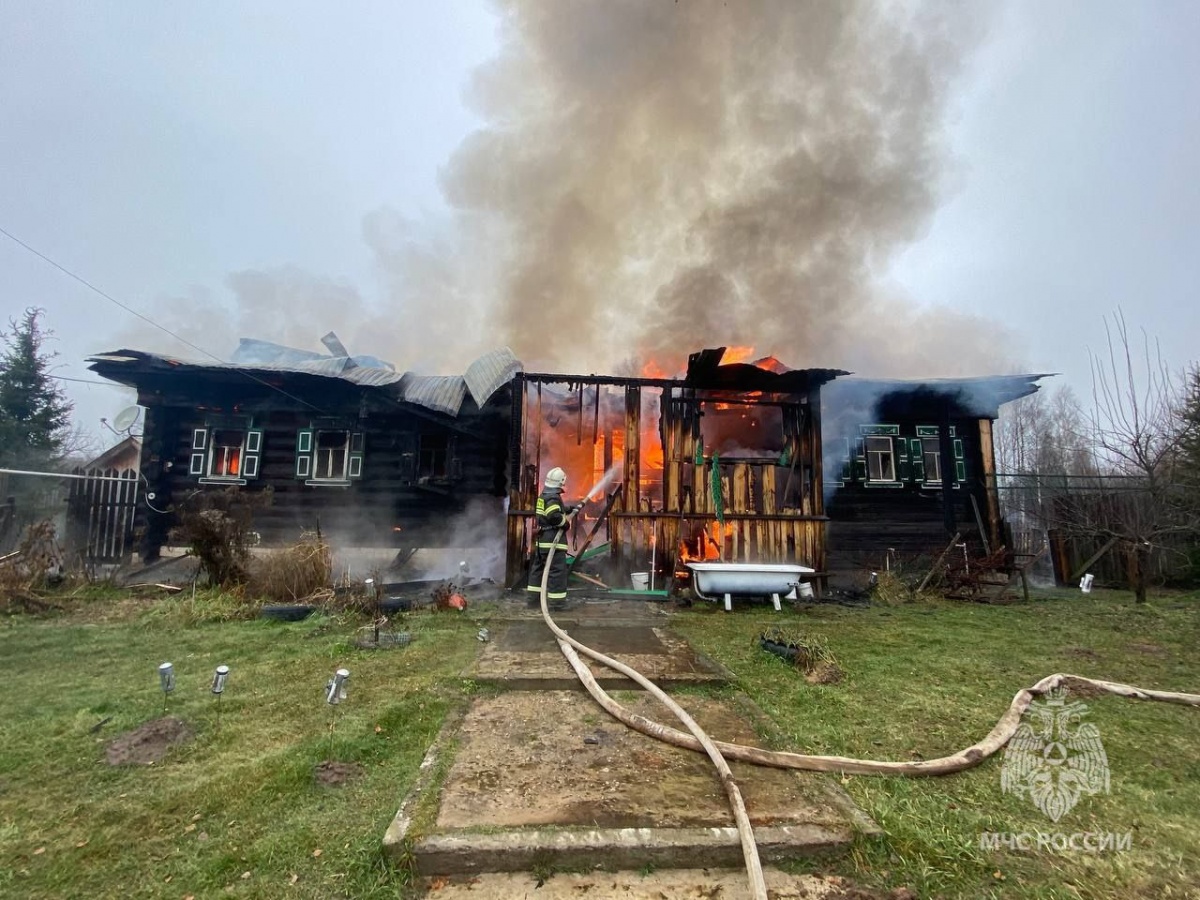 Частный жилой дом сгорел дотла в деревне в Нижегородской области - фото 1