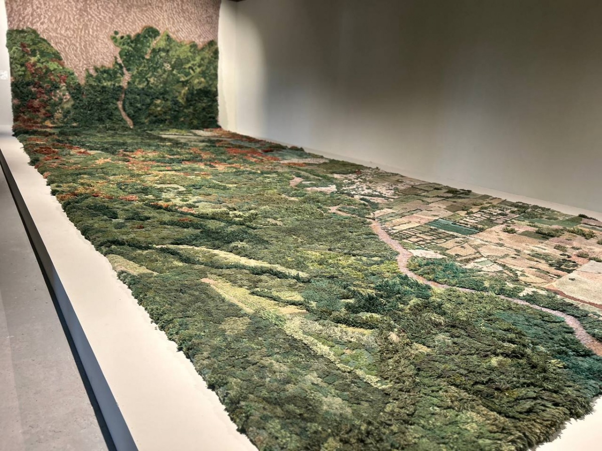 «Кожа Земли»: в Нижнем Новгороде проходит первая международная ЭкоБиеннале - фото 9