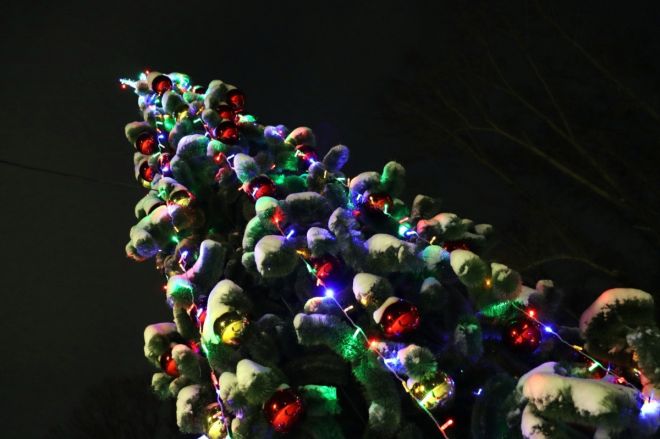 Парки Нижнего Новгорода украсят к Новому году к 10 декабря - фото 2