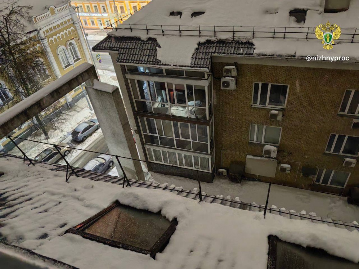 Нижегородская прокуратура заинтересовалась гибелью девушки, на которую рухнула наледь - фото 1
