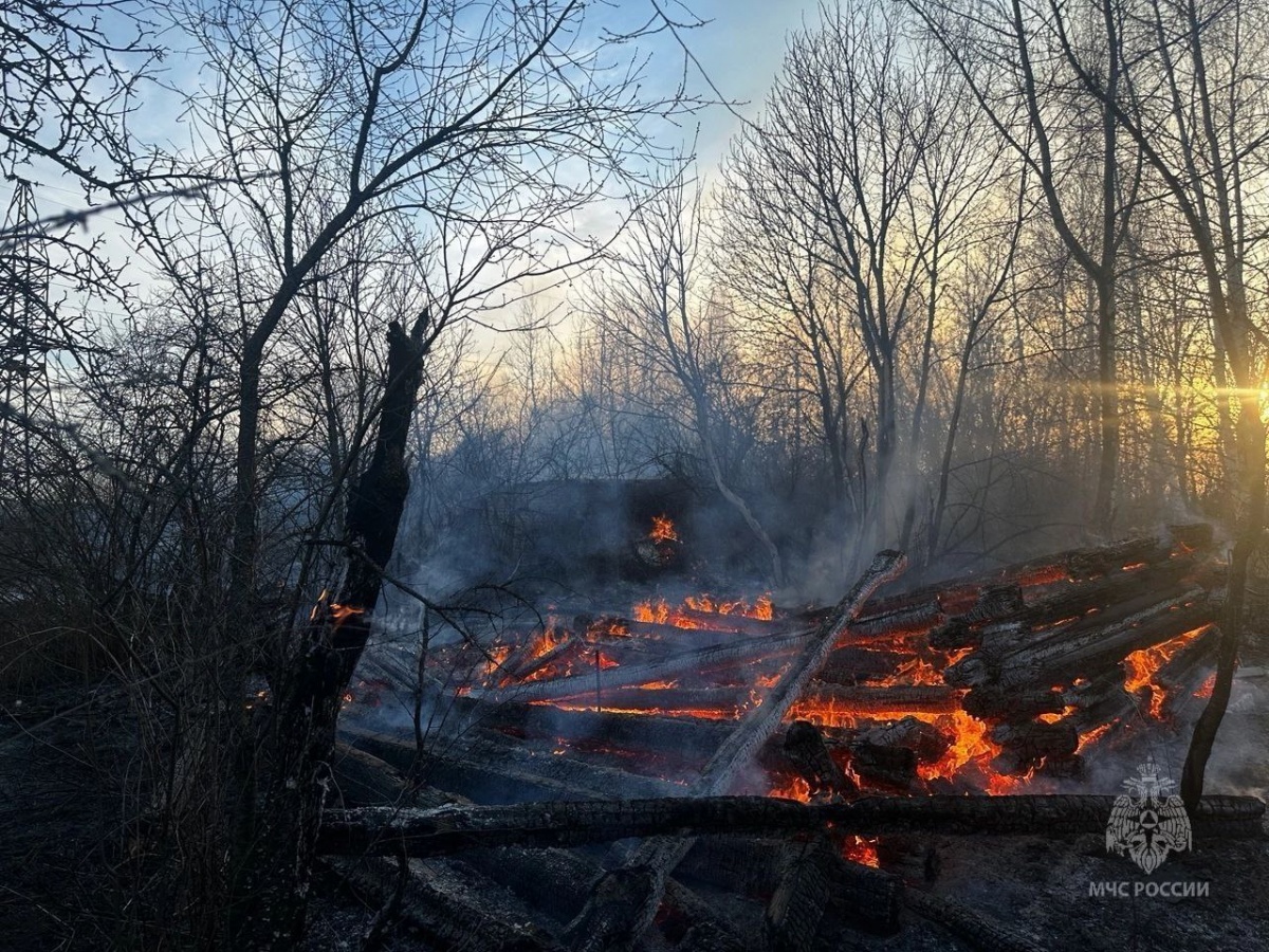 Четыре строения сгорели из-за поджога в СНТ в Нижегородской области - фото 1