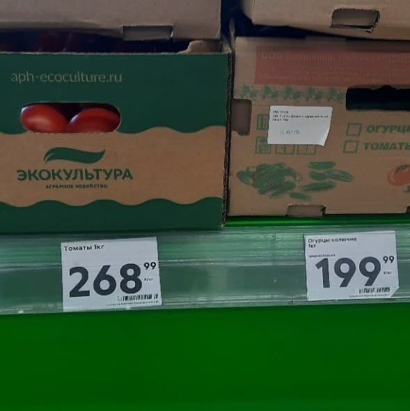 Нижегородцы жалуются на резкий рост цен на огурцы и томаты - фото 1