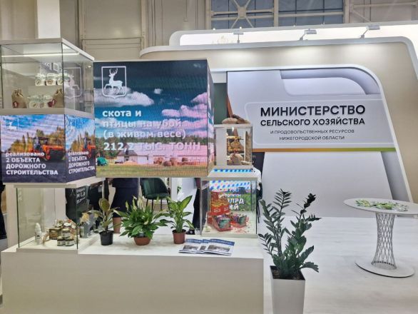 Нижегородскую сельхозпродукцию представили на выставке в Москве - фото 2