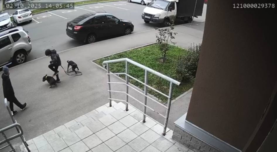 Ребенок жестоко избил ногами щенка на улице в Нижнем Новгороде - фото 1