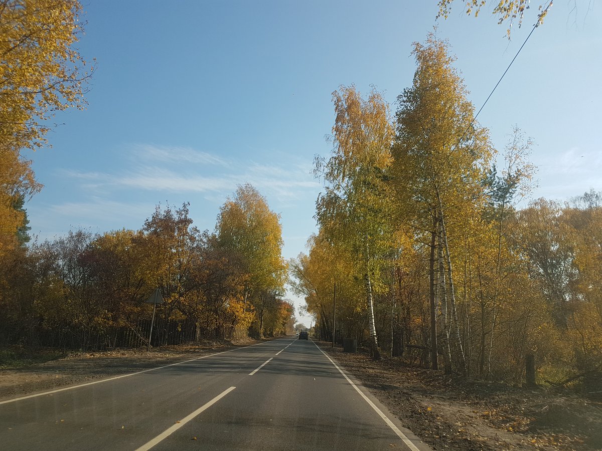 Свыше пяти тысяч км дорожной разметки нанесли на нижегородские дороги - фото 1