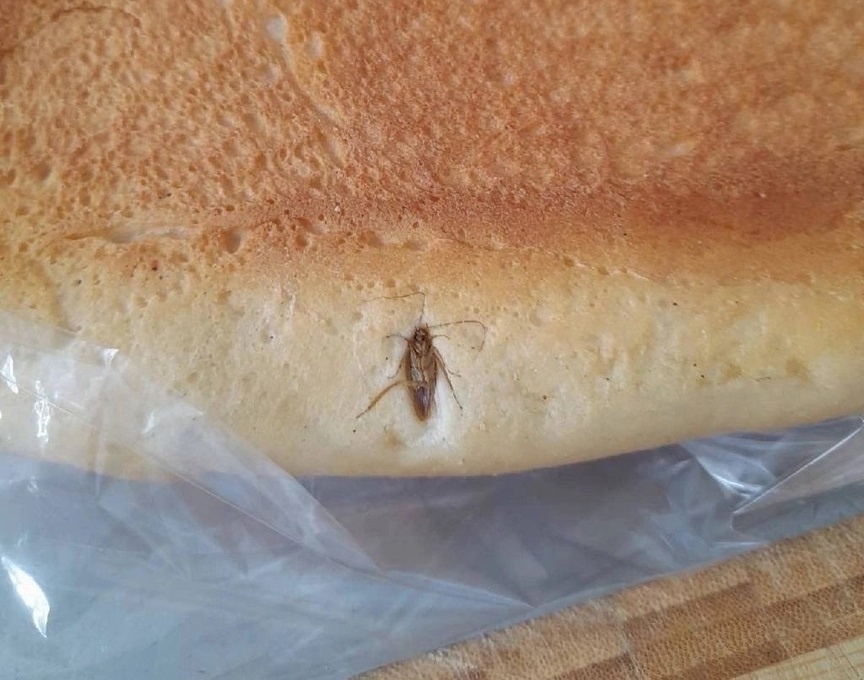 Хлеб с тараканом обнаружили в нижегородском магазине - фото 1