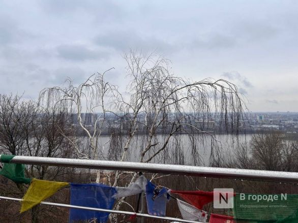 Трехметровую буддийскую статую открыли в Нижнем Новгороде - фото 18