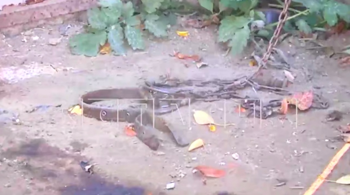 Участники странной религиозной общины жестоко убили собаку в Нижнем Новгороде - фото 1