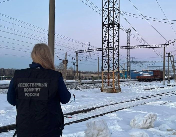 Поезд травмировал железнодорожника в Нижегородской области - фото 1