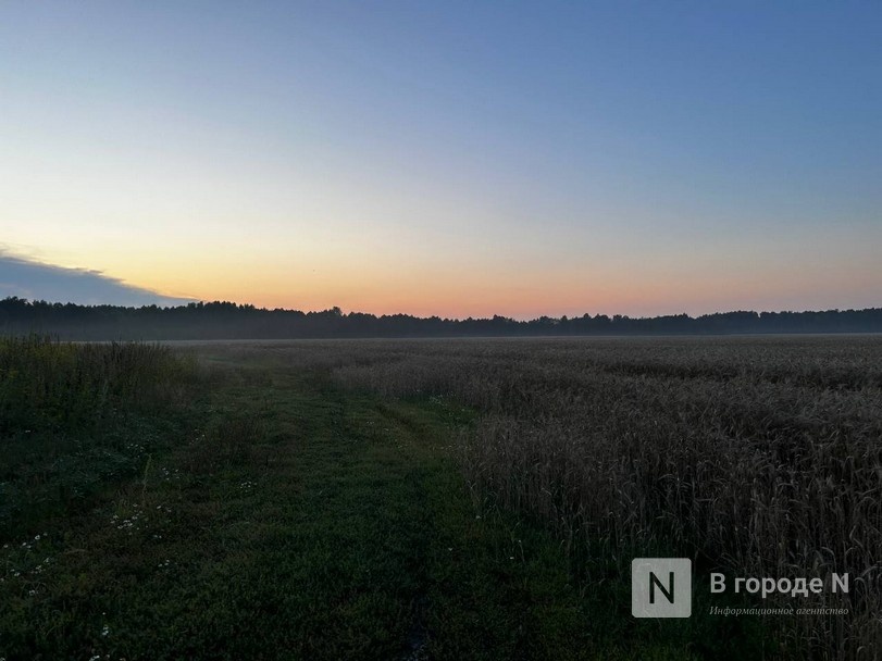 Нарушения при химической обработке посевов выявили в Нижегородской области - фото 1