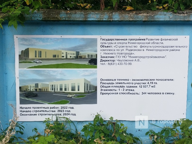ФОК в Нижегородском районе построят к 2024 году - фото 6
