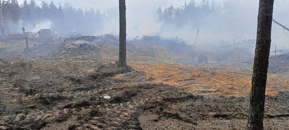 Незаконная свалка второй раз за сутки разгорелась в Нижнем Новгороде - фото 1