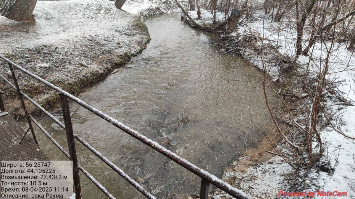 Специалисты нижегородского Минэкологии не нашли белой воды в Рахме - фото 1