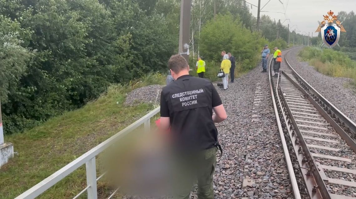 Велосипедиста снесло ветром под поезд в Нижегородской области: он погиб - фото 1