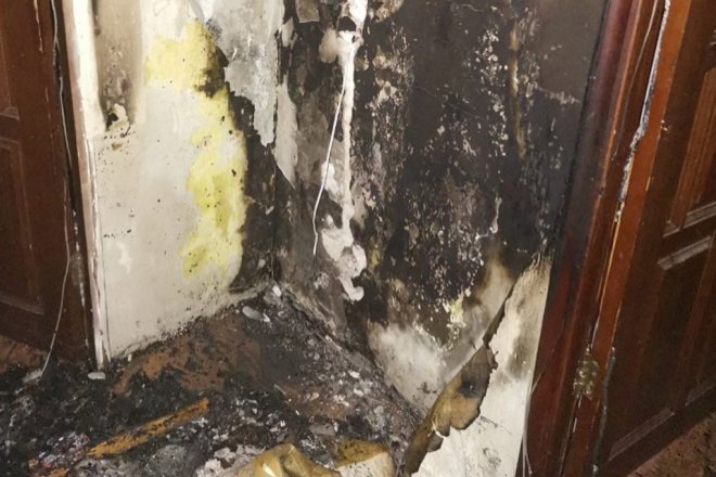 Нижегородские пожарные спасли черепашек из горящей квартиры - фото 2