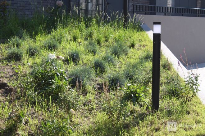 Опубликованы фото с открытия IT-кампуса в Нижнем Новгороде - фото 7