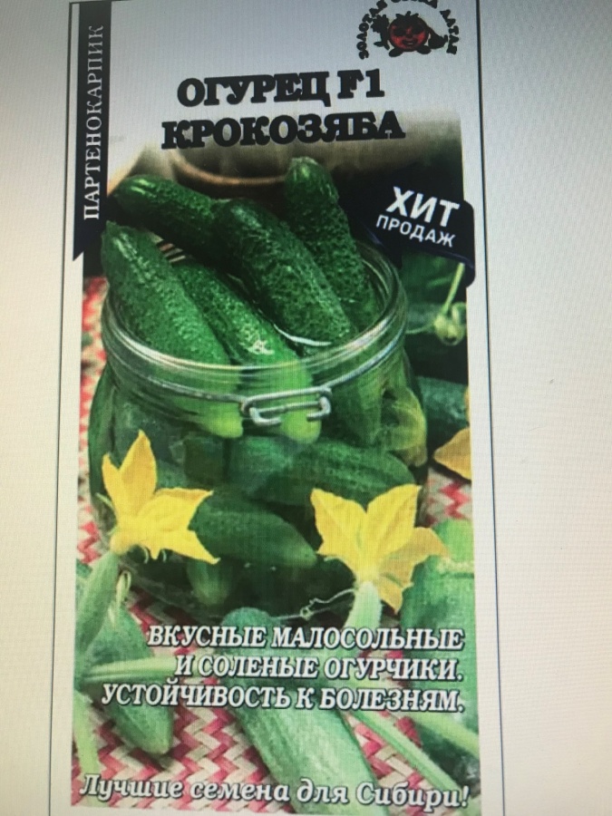Подозрительные семена огурцов и томатов нашли в Нижегородской области - фото 1