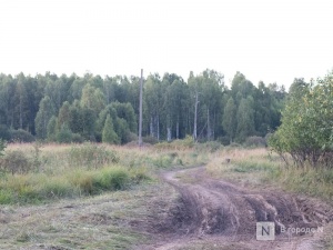 Сезон охоты на пернатую дичь стартовал в Нижегородской области