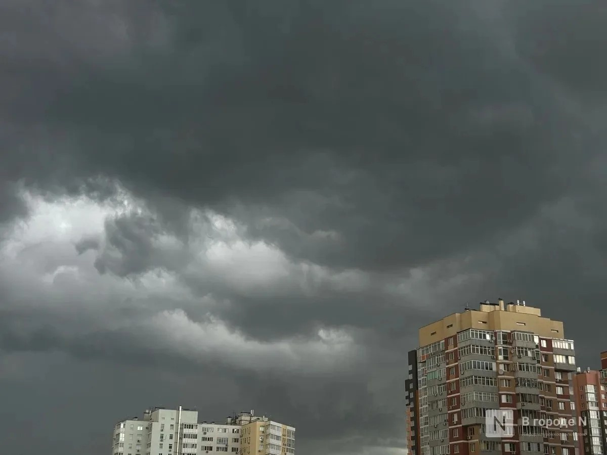 Ливни накроют Нижегородскую область в ближайшие три часа - фото 1