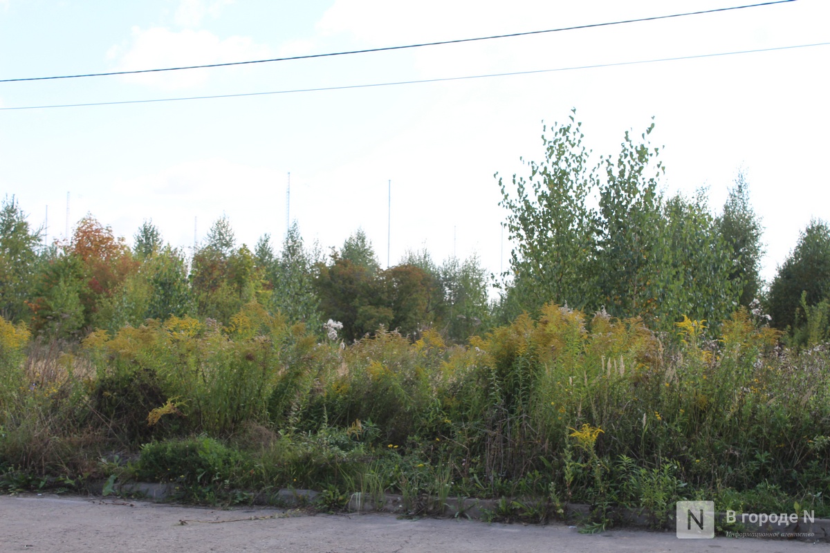 &laquo;Не хотим дышать пылью&raquo;: почему разгорелся скандал вокруг строительства склада Wildberries в Новинках и что будет дальше - фото 4