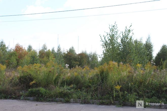 Нижегородцам показали, где будет построен огромный склад Wildberries - фото 11