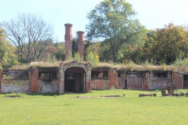 Опубликованы фото из усадьбы Приклонских-Рукавишниковых в Подвязье - фото 4