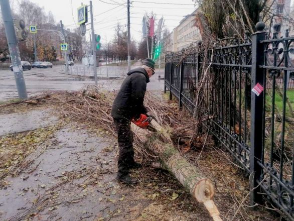 Последствия урагана и ливня устраняют в Нижнем Новгороде - фото 3