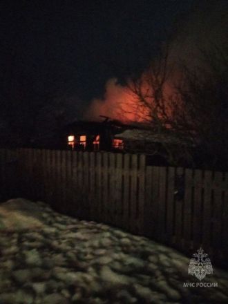 Пенсионерка погибла в пожаре в Навашинском районе - фото 4