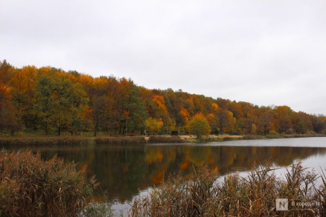 Фоторепортаж: золотая осень в Нижнем Новгороде - фото 10