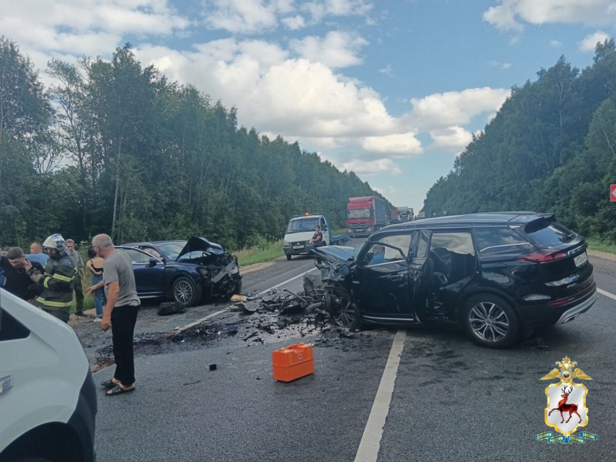 Появились подробности жесткого ДТП с двумя погибшими в Нижегородской области - фото 1