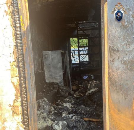 Следователи выясняют обстоятельства гибели мужчины на пожаре в Володарском районе - фото 2