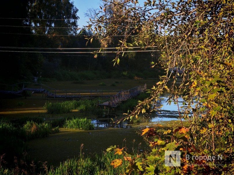 Город с открытки: почему Плес привлекает туристов и стоит ли вообще туда ехать - фото 25