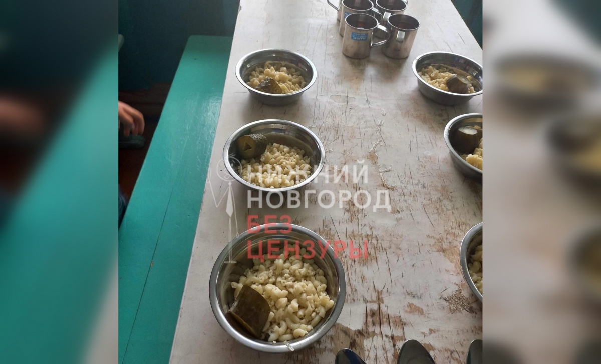 Родителей возмутило качество питания в Шахунской школе - фото 1