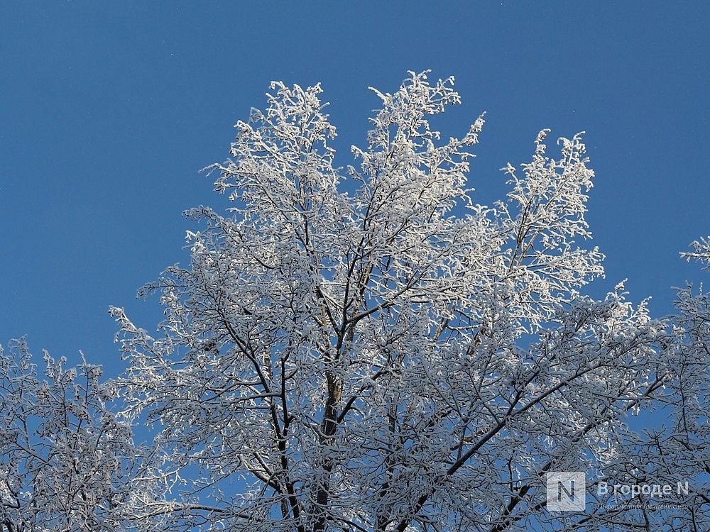 Морозы до -20°C придут в Нижний Новгород в выходные