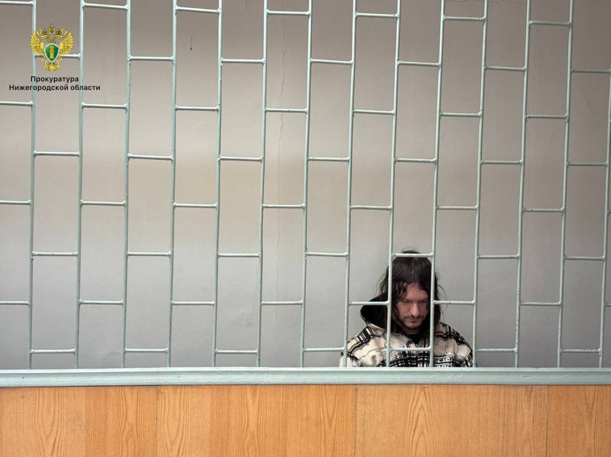 Убийце пенсионеров из Сарова продлили арест на три месяца - фото 1