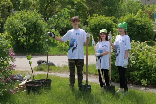 Более 55 деревьев высадили в Дзержинске 1 и 3 июня - фото 4