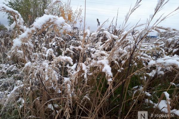 Снег может выпасть в Нижнем Новгороде в День народного единства