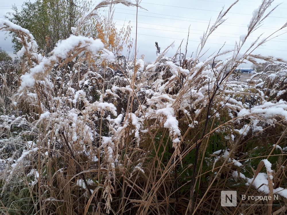 Похолодание до -2°С придет в Нижний Новгород после аномального тепла - фото 1