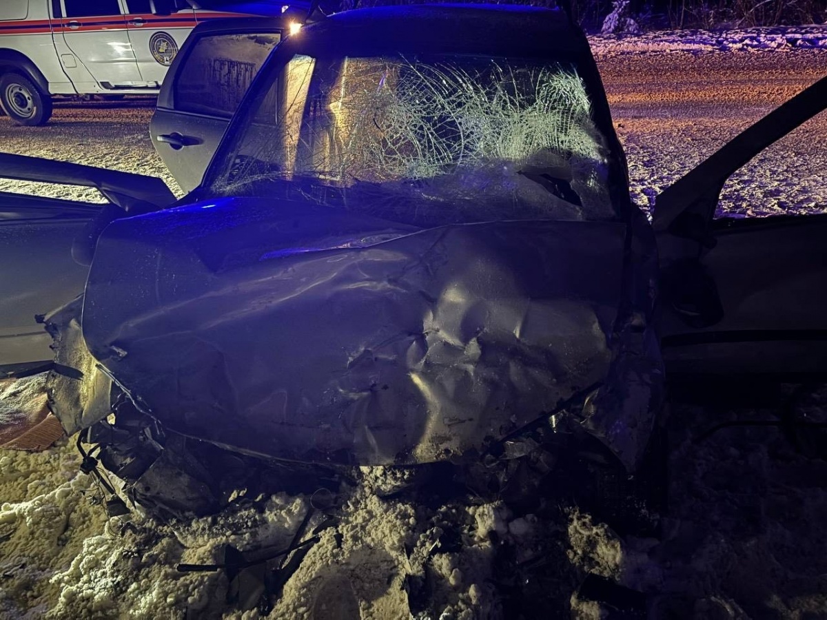 Опубликованы фото с места ДТП с погибшими в Нижегородской области - фото 2